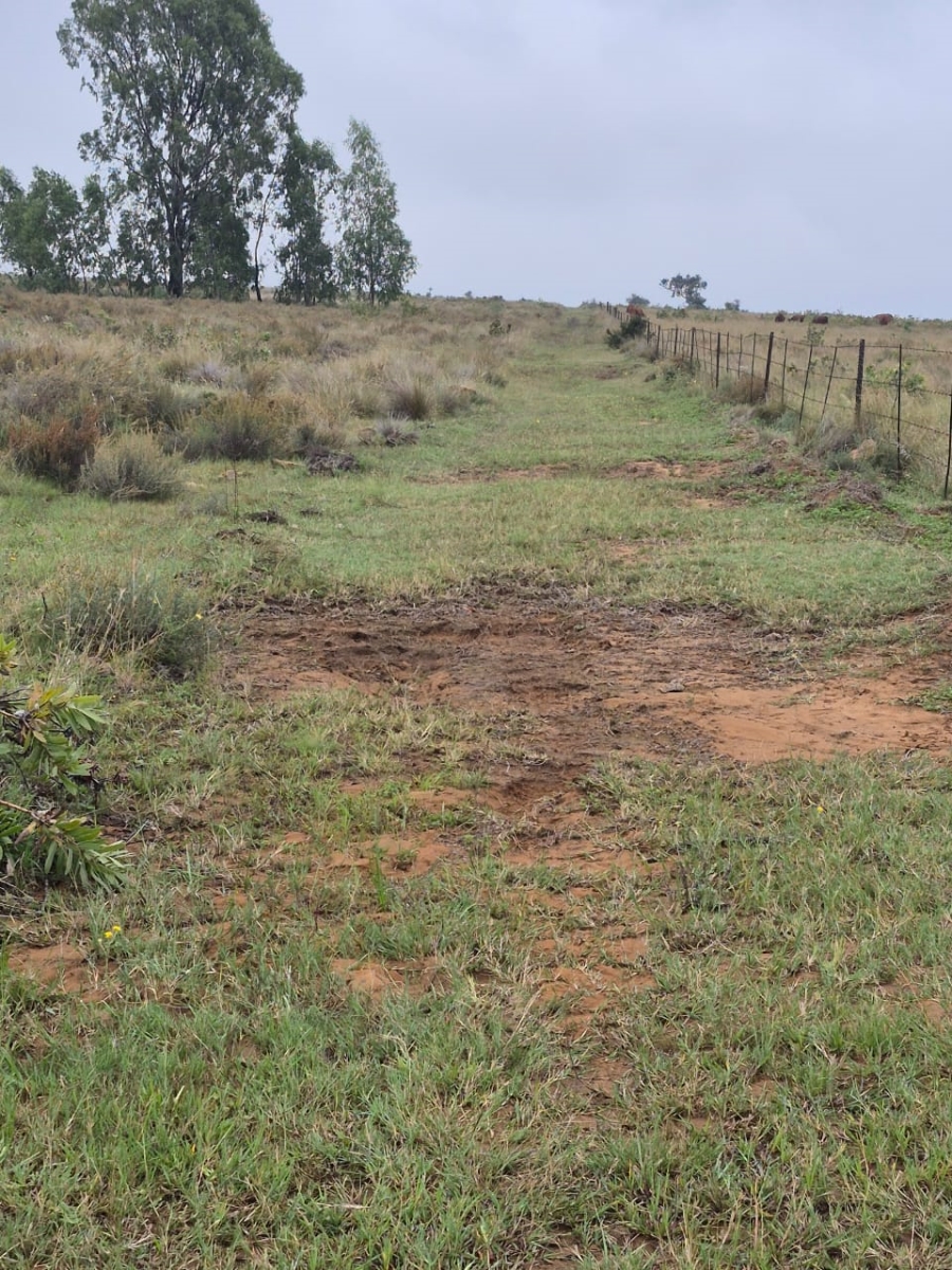 7 Bedroom Property for Sale in Koster North West
